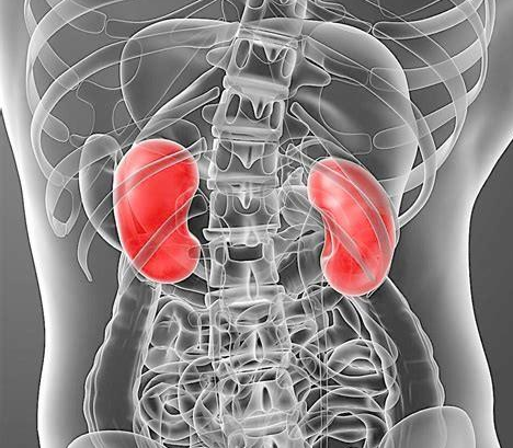 天天喝酒对身体有什么伤害？