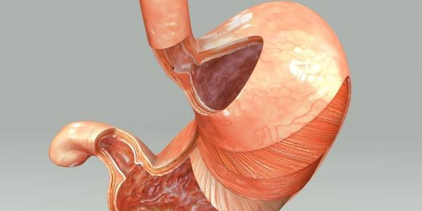 幽门螺杆菌，中国人胃癌首害！医生提醒：积极预防，要做到这6点