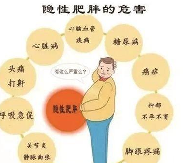 减内脏脂肪最懒但最有效的办法是什么？