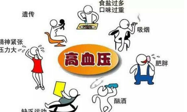 血压高，平时用什么泡水饮用好？