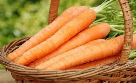 这九种天然的药疗食物，却容易被人们忽略