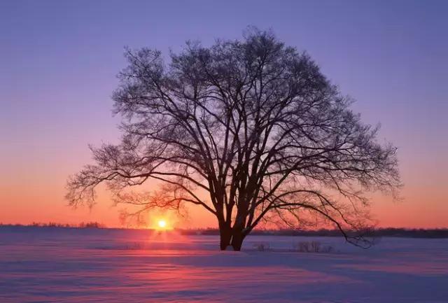 真正的人生从六十岁开始，美醉了！（值得珍藏）