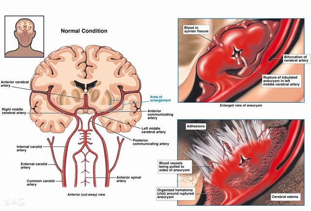 五十岁以后的人身体该怎么注意健康