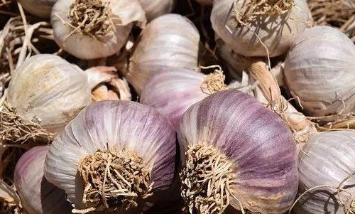 免疫力是世界上最好的医生，用9个简单的方法激活它！