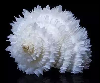 五彩斑斓的海上之花，有没有去看看大海的冲动？