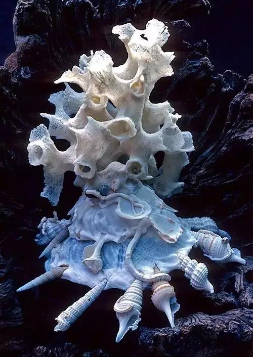 五彩斑斓的海上之花，有没有去看看大海的冲动？