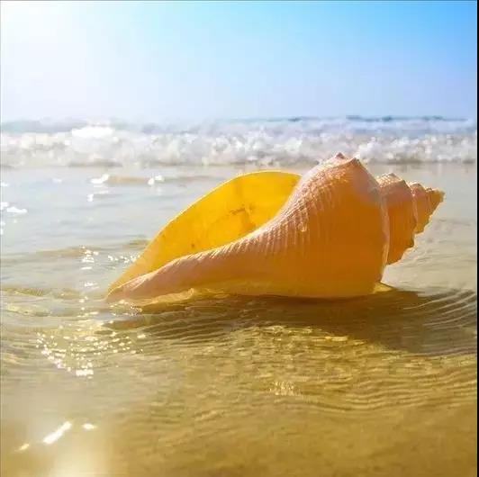 五彩斑斓的海上之花，有没有去看看大海的冲动？