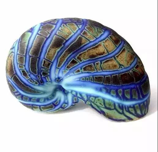 五彩斑斓的海上之花，有没有去看看大海的冲动？