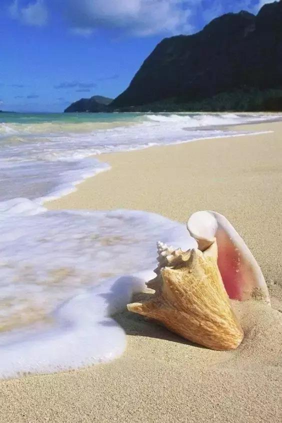 五彩斑斓的海上之花，有没有去看看大海的冲动？