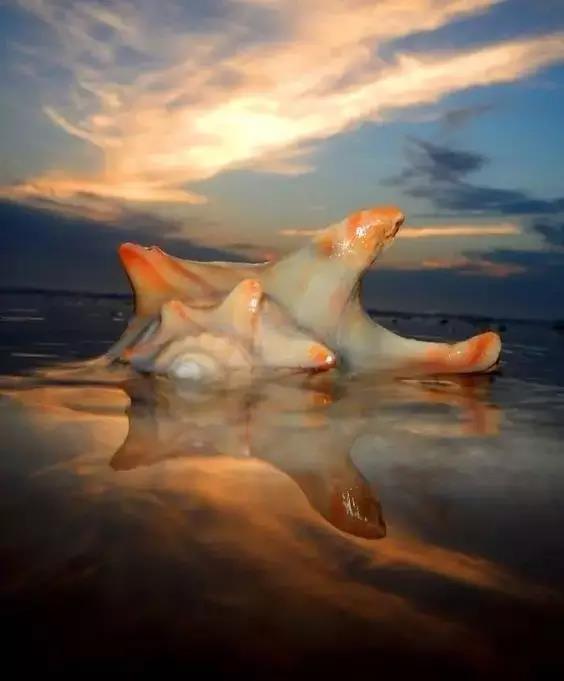 五彩斑斓的海上之花，有没有去看看大海的冲动？