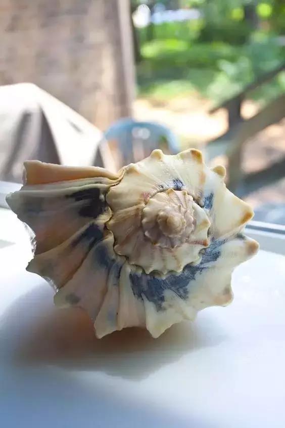 五彩斑斓的海上之花，有没有去看看大海的冲动？