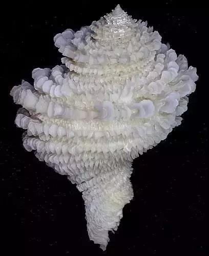 五彩斑斓的海上之花，有没有去看看大海的冲动？