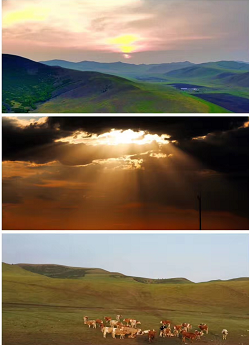 50岁的男人怎样活出质量？