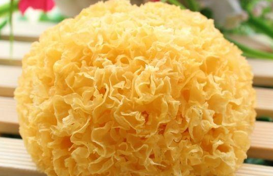 银耳的营养价值怎么样？