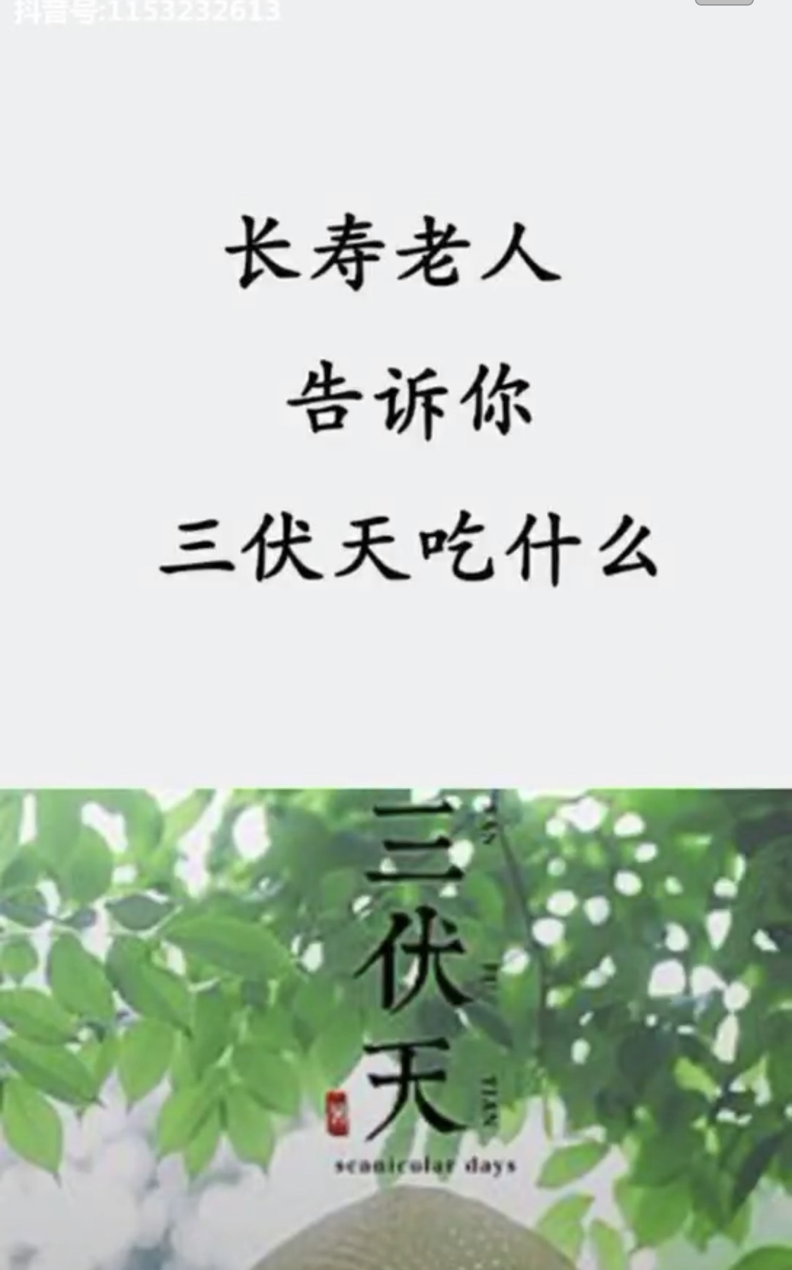 长寿老人告诉你三伏天吃什么