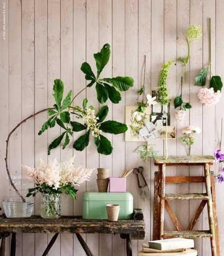 居家小植物，带来的不仅仅是好心情，还有您的一点小心思