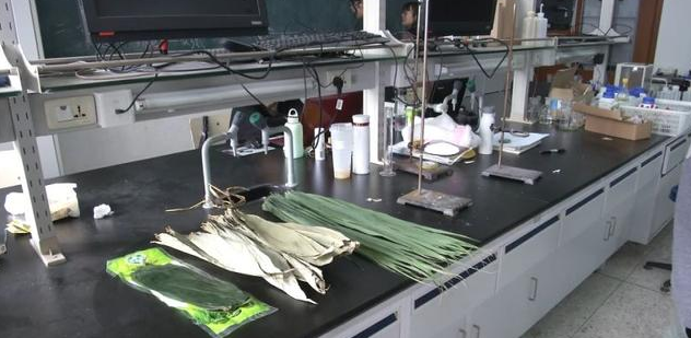 当心！你买到的粽子可能含重金属！用一枚钉子就能分辨