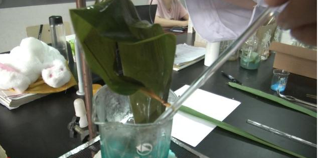 当心！你买到的粽子可能含重金属！用一枚钉子就能分辨