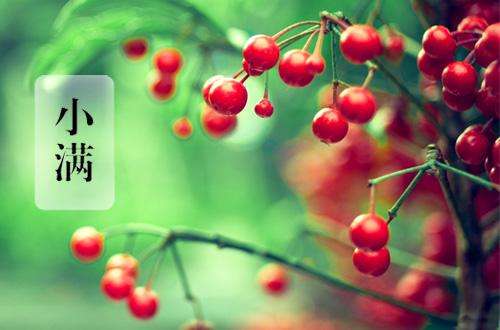 这样的“苦”吃出整个健康的夏天！