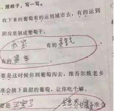 小学生“0分”试卷火了，老师：你的智商超越了地球人