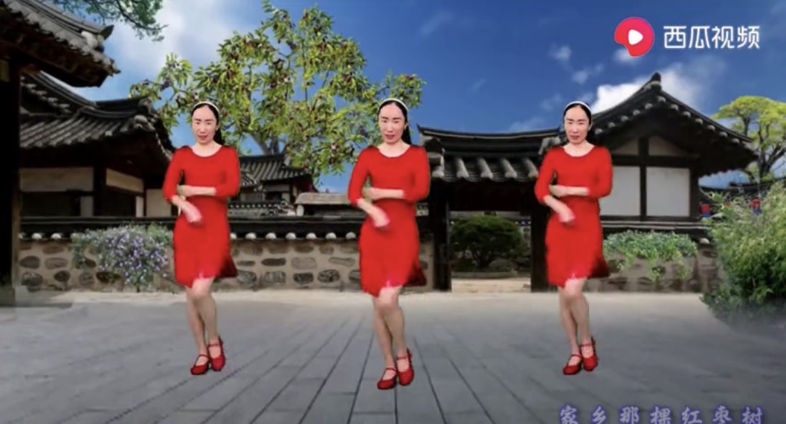 小视频 老年广场舞（14）