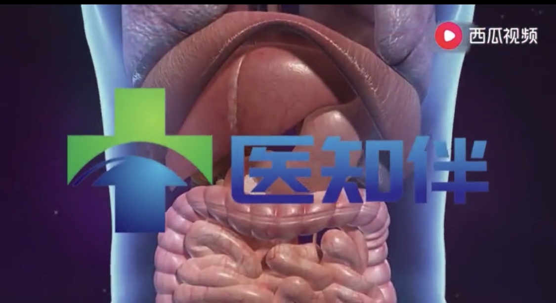 小视频  人体的奥秘：胰脏