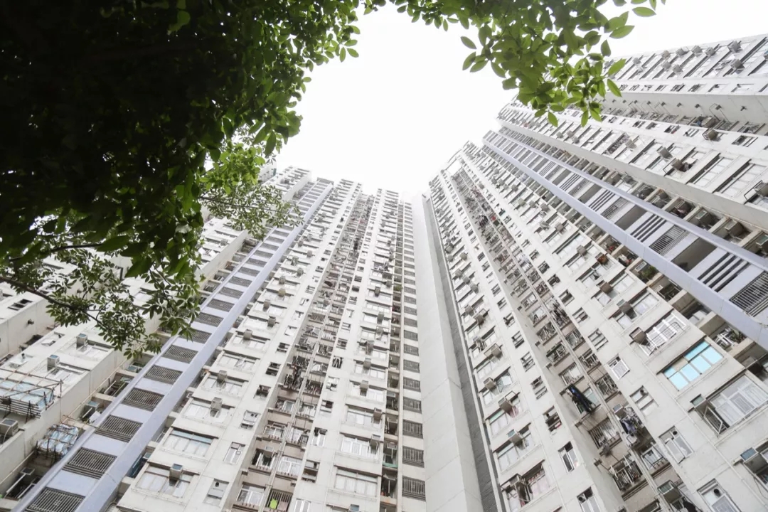 原来，真的可以这样养老！