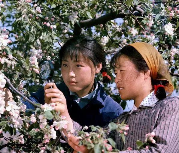 那个年代的妇女，真漂亮！