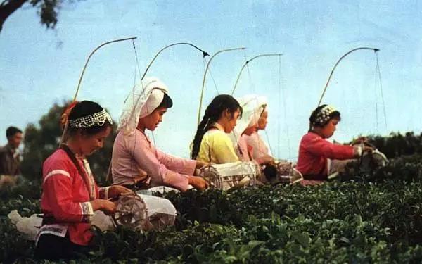 那个年代的妇女，真漂亮！