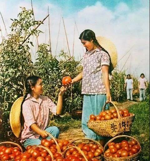 那个年代的妇女，真漂亮！