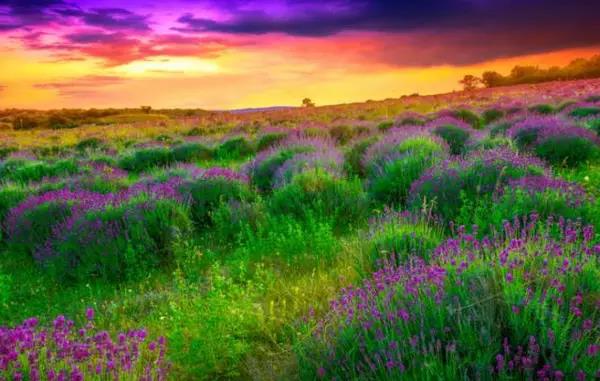 人为什么要旅行？