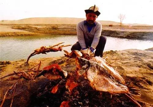 人为什么要旅行？