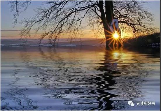 人为什么要旅行？