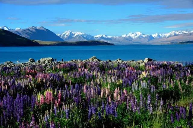 人为什么要旅行？