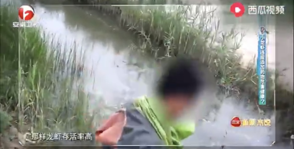 小视频 看了视频，你还敢吃小龙虾？