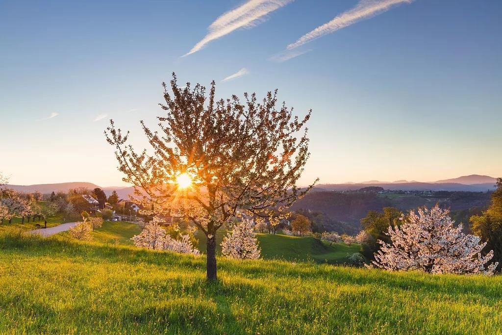 每一天，都从快乐开始