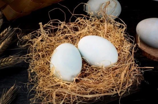 端午：古老习俗蕴藏的健康法则