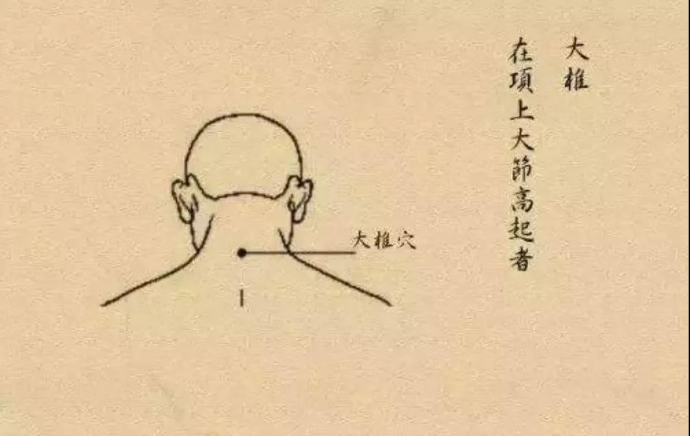 今日端午，宜养阳