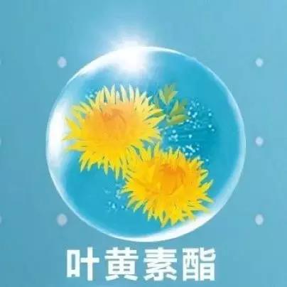 为什么说，保护眼睛，是一件需要你坚持到老的事？