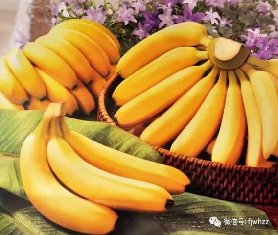 素食中的天然补药，快来看看你知道几个？