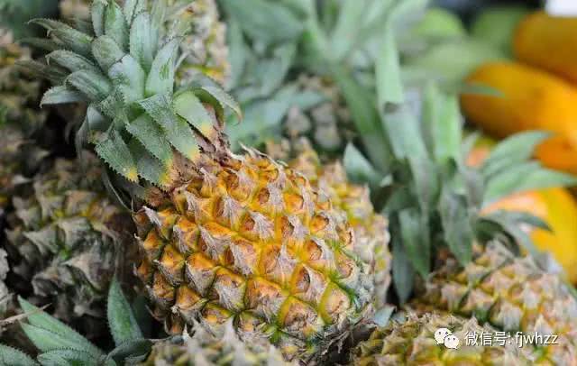 素食中的天然补药，快来看看你知道几个？