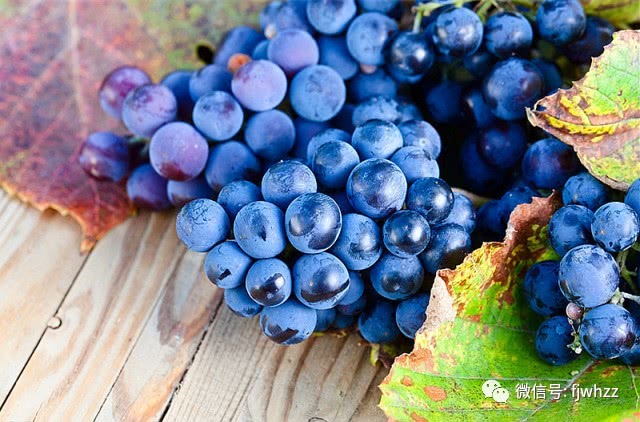 素食中的天然补药，快来看看你知道几个？